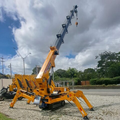 GRUA TELESCOPICA SOBRE ORUGAS (ARAÑA)